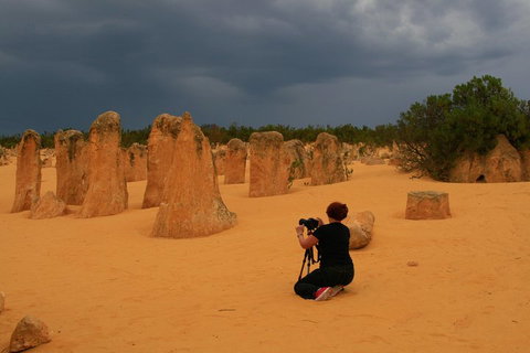 The Pinnacles, Sea And Dunescapes, Bush Reserve And Sunset Day Tour - Hotel QLD 2