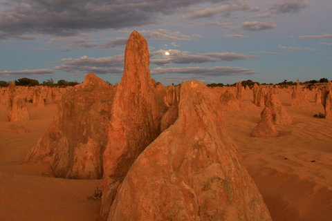 The Pinnacles, Sea And Dunescapes, Bush Reserve And Sunset Day Tour - Hotel QLD 4