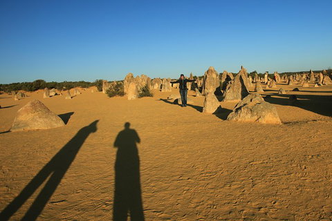 The Pinnacles, Sea And Dunescapes, Bush Reserve And Sunset Day Tour - Hotel QLD 5