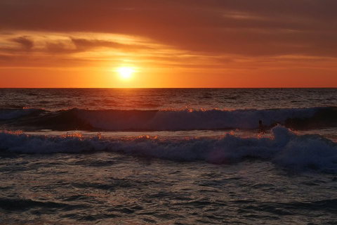 Australian Animals, Seascape And Sunset Photography Tour - Hotel QLD 5