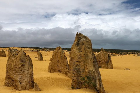 Private Pinnacles Day Tour - Hotel QLD 1