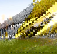 2-Day Private Daylesford  Macedon Ranges Gourmet Food Trail Tour from Melbourne - Hotel QLD