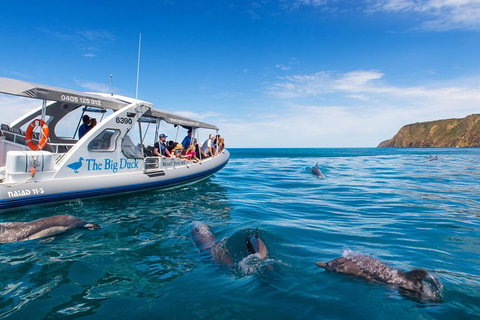 Victor Harbor And McLaren Vale Wine Region Day Tour - Hotel QLD 1