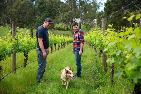LGBT+ Friendly Full Day Yarra Valley & Dandenong Ranges Private Tour - Hotel QLD 4
