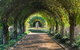 LGBT+ Friendly Full Day Yarra Valley & Dandenong Ranges Private Tour - thumb 5