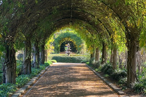 LGBT+ Friendly Full Day Yarra Valley & Dandenong Ranges Private Tour - Hotel QLD 5