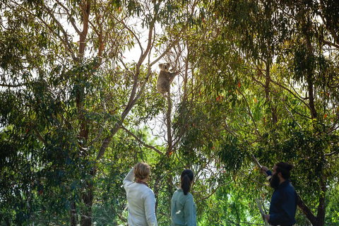 LGBT+ Friendly 3 Day Tour The Grampians, Daylesford & Ballarat - Hotel QLD 4