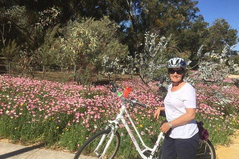 Perth Bike Tour - Beautiful Matilda Bay And Kings Park - Hotel QLD 1