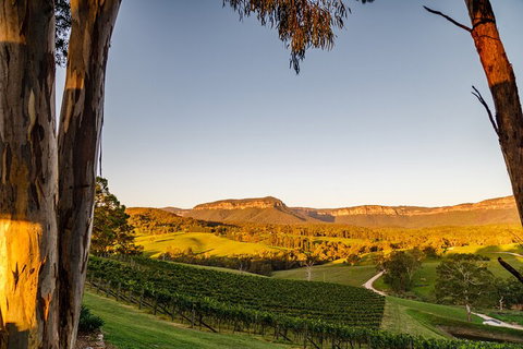 Taste Of The Blue Mountains - Lunch & Wine Tasting, Beer, Cider & Gin Tasting - Hotel QLD 1