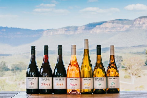 Taste Of The Blue Mountains - Lunch & Wine Tasting, Beer, Cider & Gin Tasting - Hotel QLD 3
