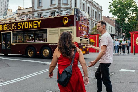 Drinks & Bites In Sydney Private Tour - Hotel QLD 1