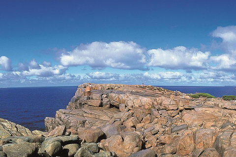 4 Day Tour: Albany, Margaret River, Valley Of The Giants TreeTop Walk From Perth - Hotel QLD 0