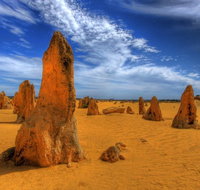 Pinnacles Desert  New Norcia Day Tour from Perth - Hotel QLD