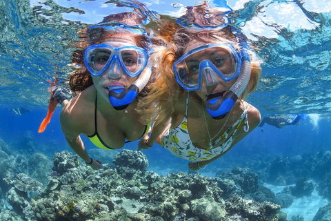 Great Barrier Reef Snorkeling And Diving Cruise From Cairns - Hotel QLD 3