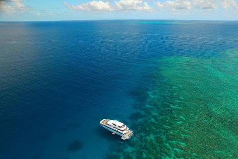 Great Barrier Reef Snorkeling And Diving Cruise From Cairns - Hotel QLD 4