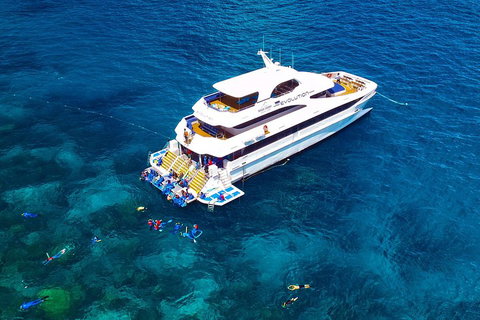 Great Barrier Reef Snorkeling And Diving Cruise From Cairns - Hotel QLD 5