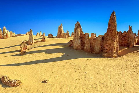 Full-Day Pinnacles Desert And Yanchep National Park Tour From Perth - Hotel QLD 2