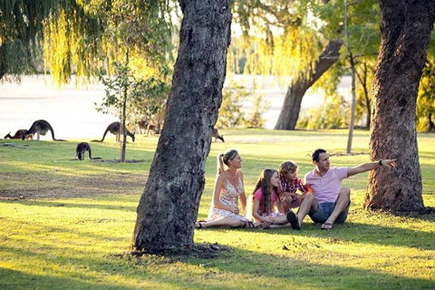 Full-Day Pinnacles Desert And Yanchep National Park Tour From Perth - Hotel QLD 3