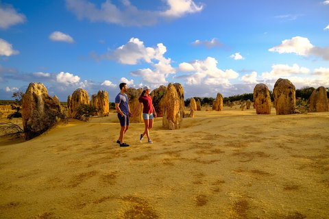 Full-Day Pinnacles Desert And Yanchep National Park Tour From Perth - Hotel QLD 4