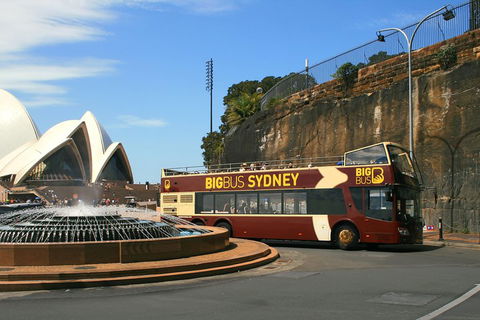 Big Bus Sydney And Bondi Hop-on Hop-off Tour - Hotel QLD 3
