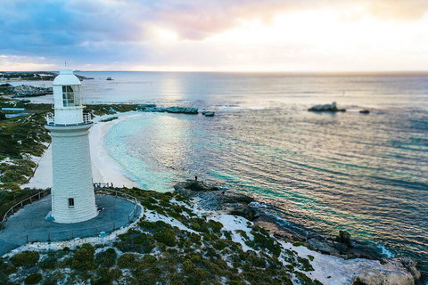 Discover Rottnest With Ferry & Bus Tour From Perth Or Fremantle - Hotel QLD 2