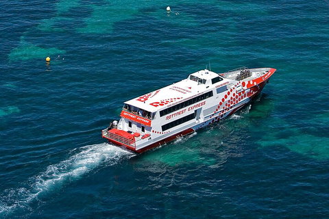 Discover Rottnest With Ferry & Bus Tour From Perth Or Fremantle - Hotel QLD 3