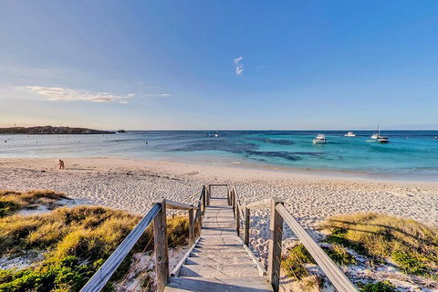 Discover Rottnest With Ferry & Bus Tour From Perth Or Fremantle - Hotel QLD 4