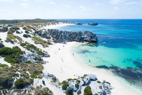 Discover Rottnest With Ferry & Bus Tour From Perth Or Fremantle - Hotel QLD 5
