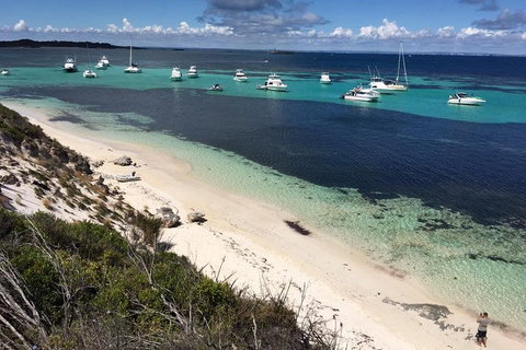 Experience Rottnest With Ferry & Bike Hire From Perth Or Fremantle - Hotel QLD 0