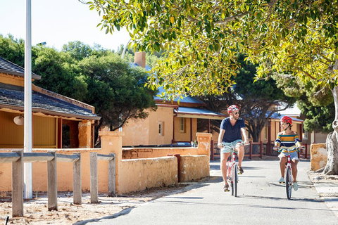 Experience Rottnest With Ferry & Bike Hire From Perth Or Fremantle - Hotel QLD 1