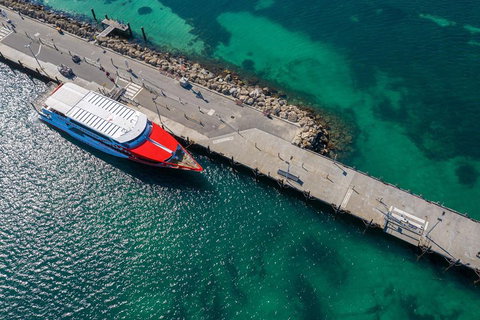 Rottnest Island Round-Trip Ferry From Perth Or Fremantle - Hotel QLD 1