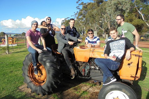1/2 Day Swan Valley Wine Cheese & Chocolate Tour Inc Afternoon Cruise To Perth - Hotel QLD 1