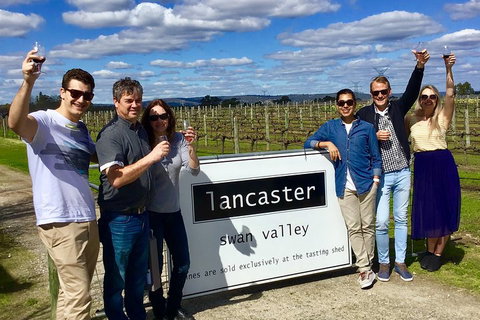 Swan Valley Tour From Perth: Wine, Beer And Chocolate Tastings - Hotel QLD 1