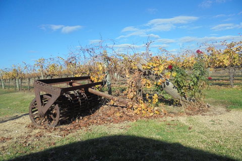 Swan Valley Tour From Perth: Wine, Beer And Chocolate Tastings - Hotel QLD 3