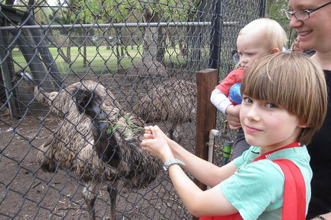 Swan Valley Half-Day Food Tour And Wine Trail From Perth - Hotel QLD 5