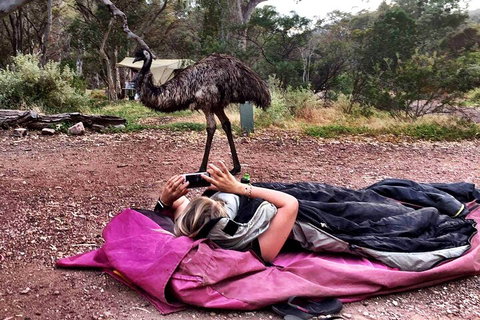 6 Day Esperance & Margaret River Adventure Tour - Hotel QLD 5