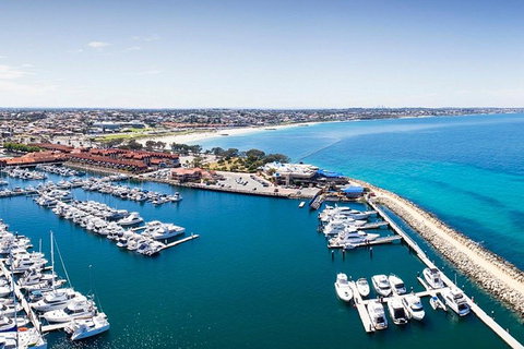 Glass Bottom Boat & Entry At AQWA - Hotel QLD 2