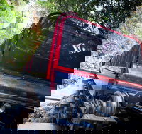 Blue Mountains Hop-on Hop-off Tour with Optional Scenic World Rides - Hotel QLD