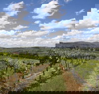 Hunter Valley Wine Tour from Sydney incl Lunch Cheese Chocolate and Distillery - Hotel QLD