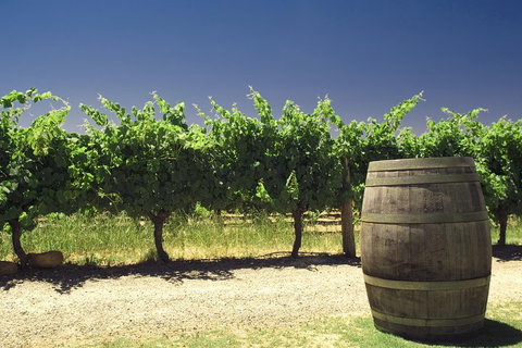 Swan Valley Private Tour - Hotel QLD 4