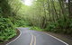 Great Ocean Road Highlights Tour - 2 Days, 1 Night - thumb 4