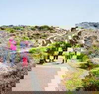 Margaret River Coastal and Wildlife Eco Trip from Busselton or Dunsborough - Hotel QLD